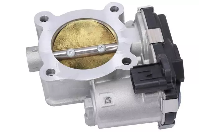 55496266 - : F (S)Body for GM Image