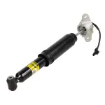 ASH1272 - Suspension: Motorcraftâ„¢ Shock Absorber for Ford: Mustang Mach-E Image