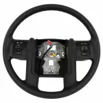 DC3Z3600DC - : Steering Wheel for Ford: F-250 Super Duty, F-350 Super Duty Image