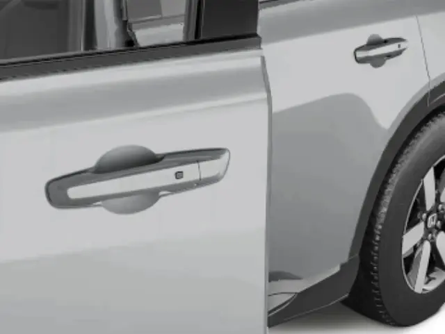 8P20PS2160A - Exterior: Door Edge Guards for Honda: Prologue Image