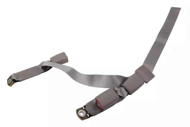 Rear Seat Center Belt - GM (88951569)