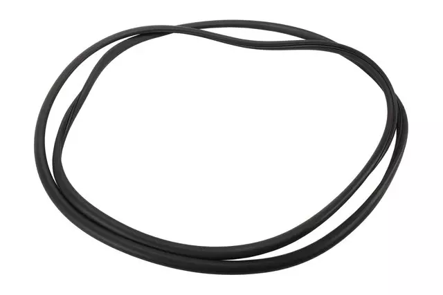 Sunroof Window Seal - GM (22926545)