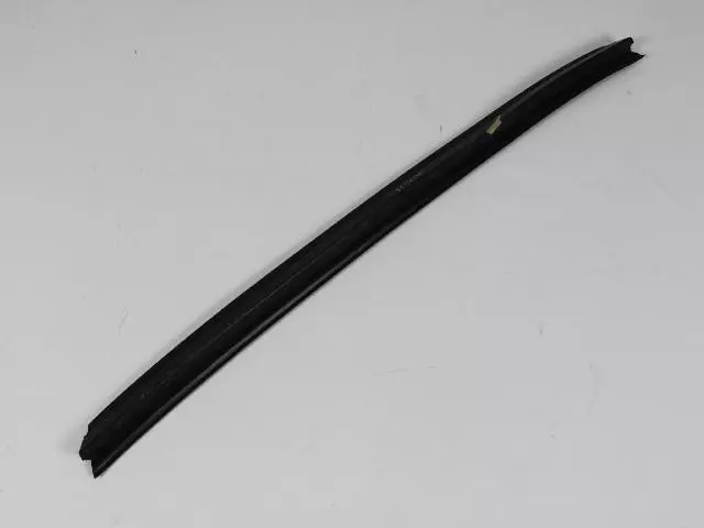 Front Door Belt Weatherstrip - Mopar (55134598)