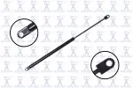 84507 - : Hood Lift Support for Focus Auto Parts Image