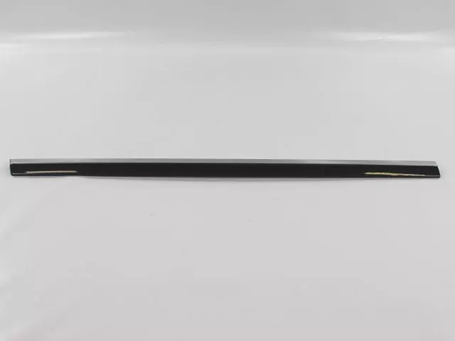 Sliding Door Molding, Right - Mopar (ZW501BLAA)