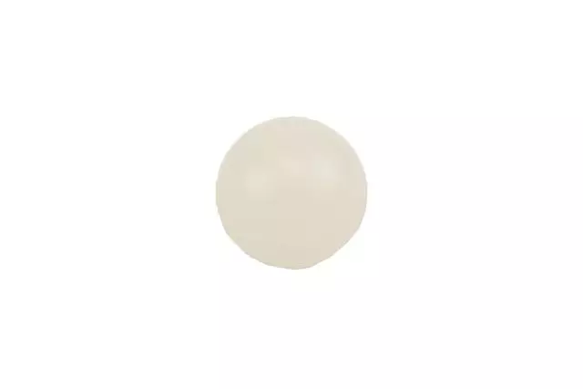 96020431 - : Automatic Transmission Control Valve Body Check Valve for GM Image