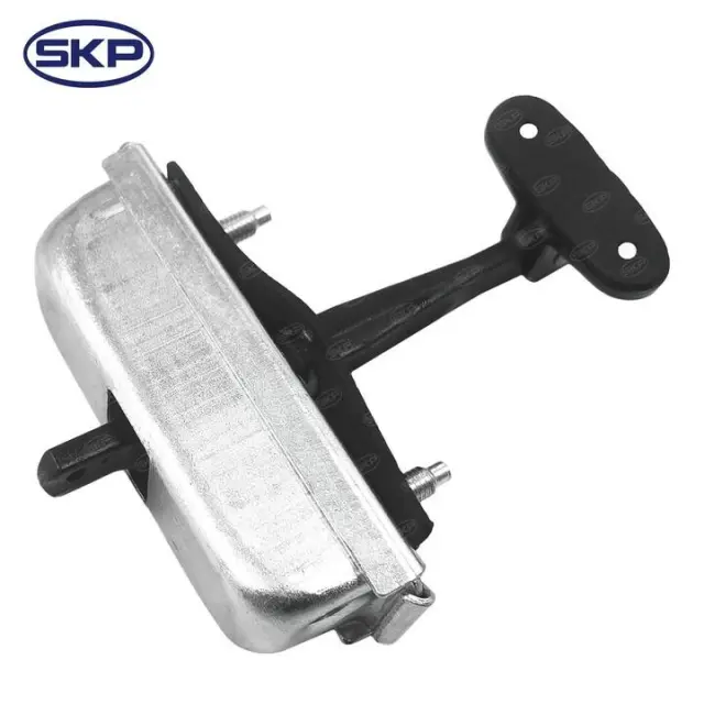 SK924920 - Exterior: SKP Door Check for Skyward Automotive Image