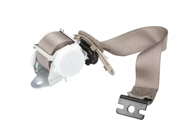 19303053 - Electrical: Outer Belt Assembly for Cadillac: Escalade, Escalade ESV | Chevrolet: Suburban, Suburban 3500 HD, Tahoe | GMC: Yukon, Yukon XL Image