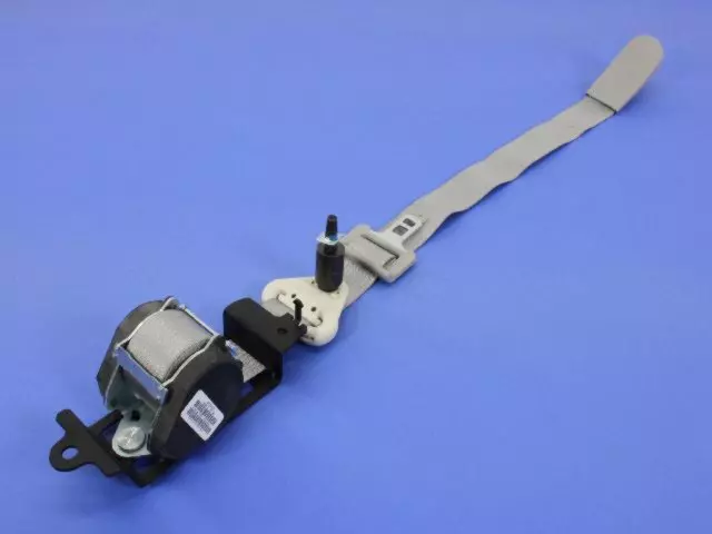 TS751DAAD - Electrical: Outer Belt for Chrysler: Pacifica Image