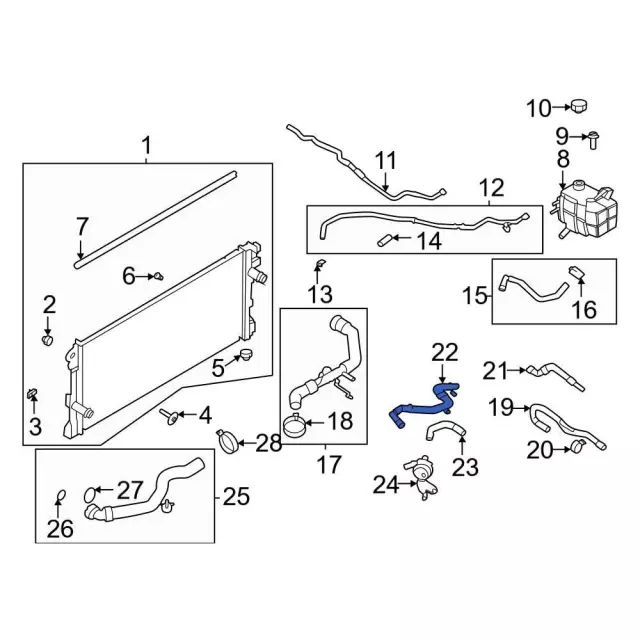 MB3Z8286T - Cooling System: Lower Hose for Ford: Bronco, Ranger Image