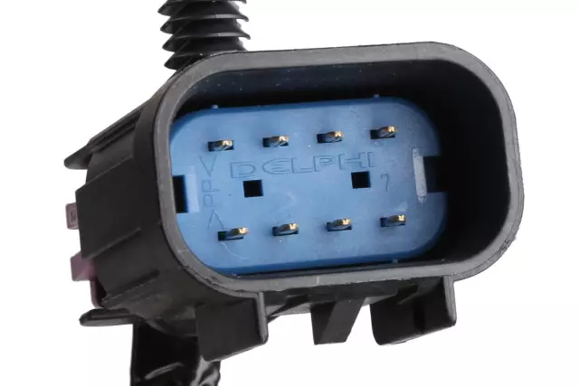 Harness - GM (22916079)