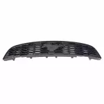 DR3Z8200AB - : Grille for Ford Image