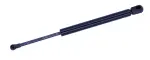614214 - : Trunk Lid Lift Support for Tuff Support Image