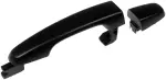 81318 - : Exterior Door Handle Front/Rear Right for Dorman Image
