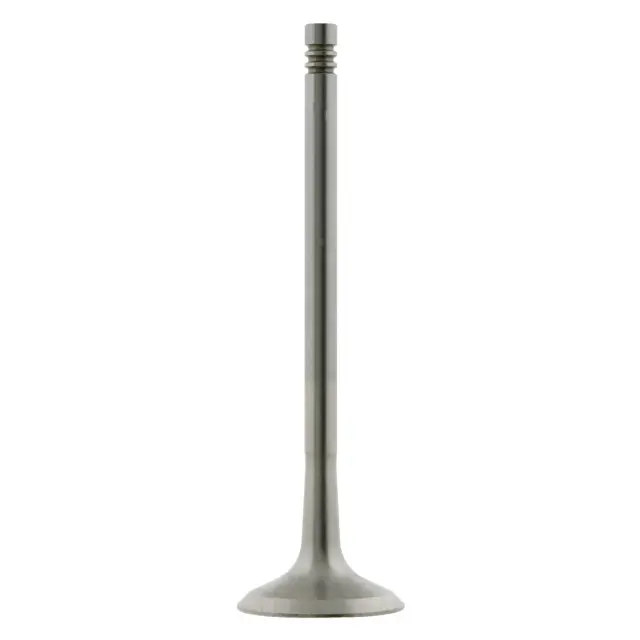 24161 - Engines &amp; Components: Febi 24161 Engine Exhaust Valve for FEBI RUBBER CO Image