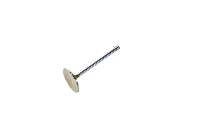 Valve Intake - Mopar (P5249878)