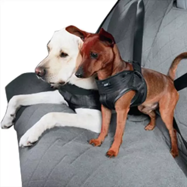 82200416255 - Interior: Dog Safety Harness - Large (60-90lbs) for BMW: 128i, 135i, 135is, 228i, 228i xDrive, 320i, 320i xDrive, 325Ci, 328d, 328d xDrive, 328i, 328i xDrive, 328xi, 330Ci, 330xi, 335d, 335i, 335i xDrive, 428i, 428i xDrive, 435i, 435i xDrive, 525i, 528i, 528i xDrive, 530xi, 535d, 535d xDrive, 535i, 535i xDrive, 550i, 550i xDrive, 640i, 640i xDrive, 650i, 650i xDrive, 740i, 740Li, 740Li xDrive, 750i, 750i xDrive, 750Li, 750Li xDrive, 760Li, M235i, M235i xDrive, M3, M4, M5, M6, X1, X3, X4, X5, X6 Image