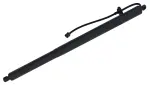 615124 - : Liftgate Lift Support for Tuff Support Image