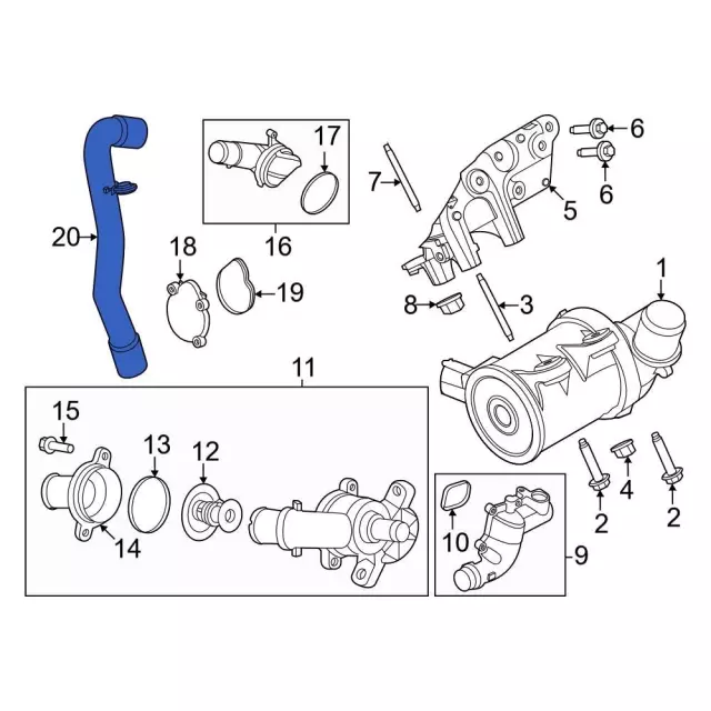 Hose Radiator - Ford (LX6Z-8286-AG)