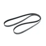68495977AA - : Serpentine Belt for Mopar Image