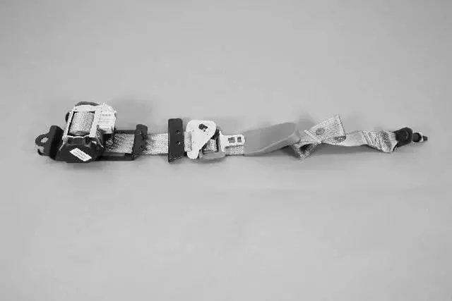 TS581D1AJ - : Lap &amp; Shoulder Belt for Chrysler: Pacifica Image