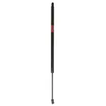 86656 - : Focus Auto Parts Liftgate Lift Support for Focus Auto Parts Image