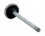 V2689B - : Engine Exhaust Valve for Enginetech Image