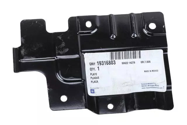 19316803 - Body: Step Plate for GM Image