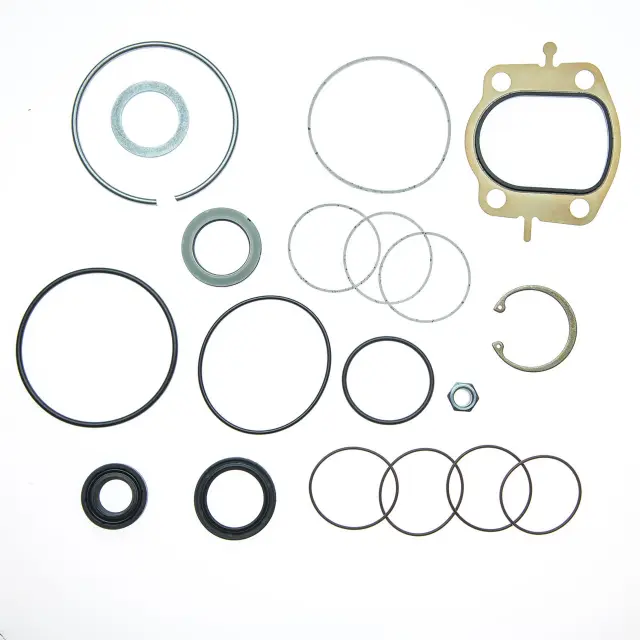8776 - : STG. GEAR MAJOR SEAL KIT for Edelmann Image