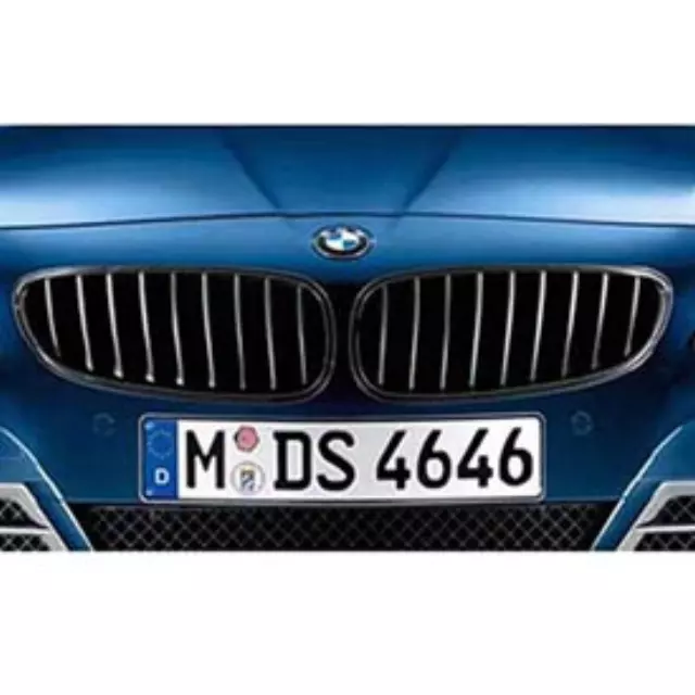 51712150252 - : 2012-2016 BMW Z4 - Performance Black Kidney Grille - Right for BMW: Z4 Image