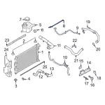 L1MZ8075A - : Reservoir Hose for Ford Image