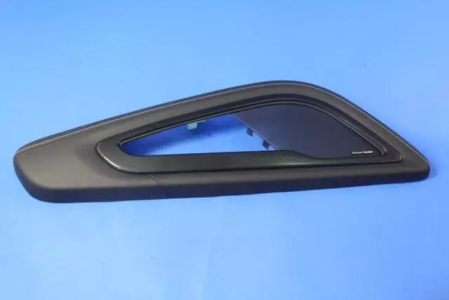 5QZ17YSAAA - Body: Door Armrest for SRT: Viper Image