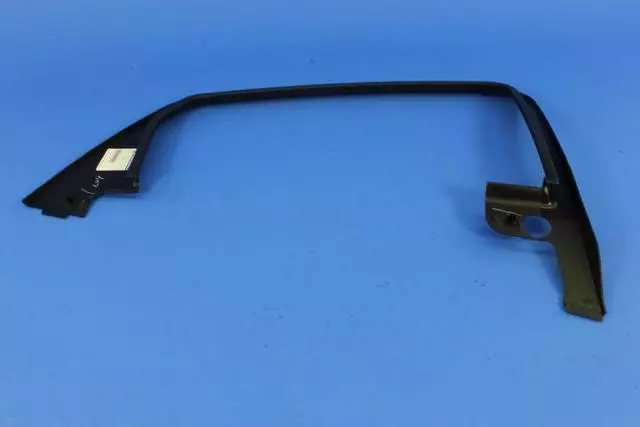 Rear Door Molding, Right - Mopar (1YE91DX9AB)