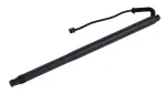 615063 - : Liftgate Lift Support for Tuff Support Image