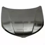DP5Z16612A - : Hood for Lincoln: MKZ Image