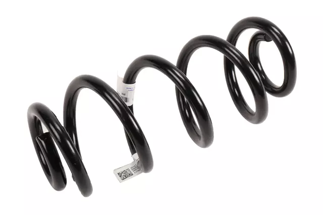 Rear Coil Spring - GM (42743545)
