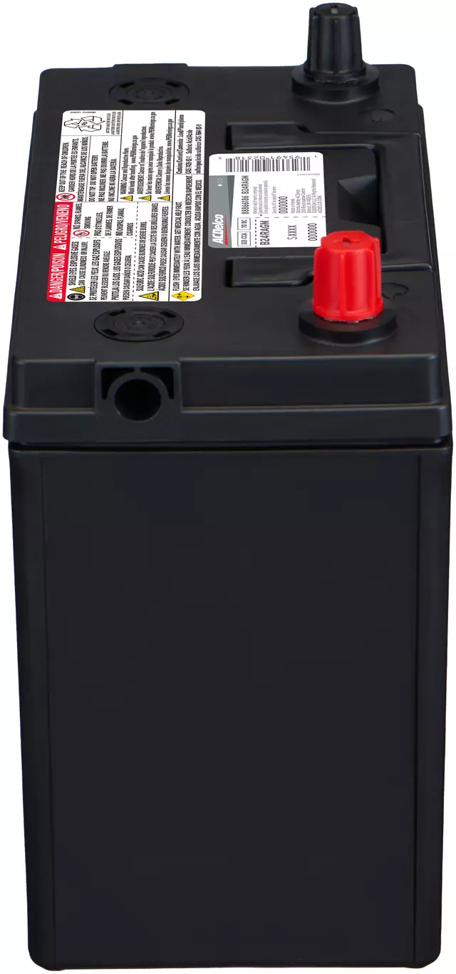 Vehicle Battery - ACDelco (B24RAGM)