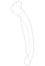 2036372936 - Side Panels: End Part for Mercedes-Benz Image