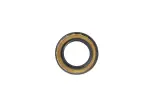 68084193AA - Differential and Drive Line: Output Seal for Mopar Image