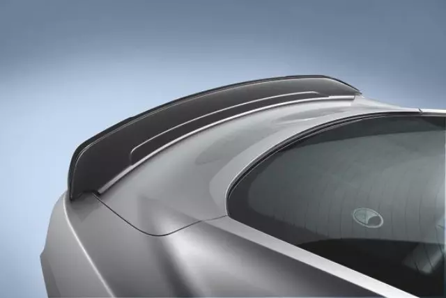Spoiler, Shelby GT350 Track Pack - Ford (GR3Z-6344210-BC)