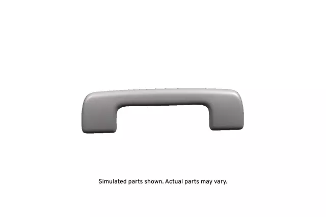 20996367 - Body: Interior Grab Bar for GM Image