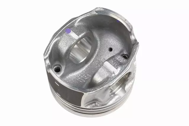 F (S)Piston Kit - GM (19433167)