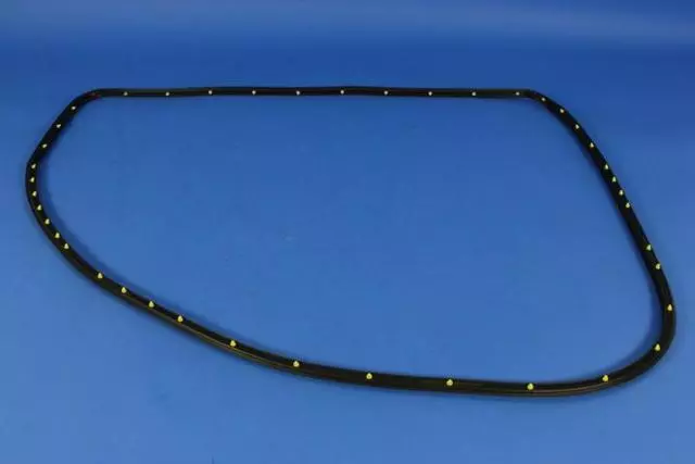 Front Door Opening Weatherstrip, Right - Mopar (68144958AC)