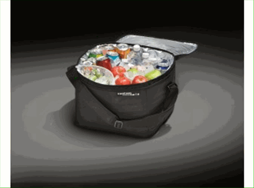 Soft-Sided Cooler Bag W/Adjustable Carrying - Ford (HE5Z-19H484-A)