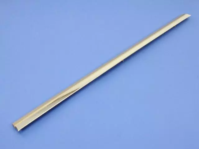 Sliding Door Molding, Right - Mopar (ZW501KGAA)