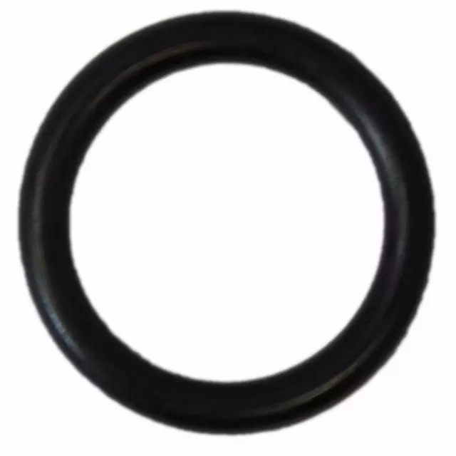 2L1Z5312AA - : Solenoid O-Ring for Ford: Expedition | Lincoln: Navigator Image