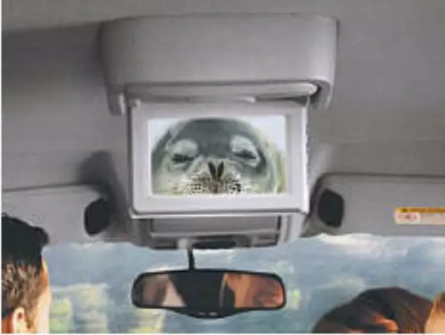 82210368 - Mopar Accessories - Component Parts: Monitor W/o Dvd Media System for Chrysler: Pacifica Image