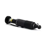 SK2413 - : Arnott Suspension Strut for Arnott Image