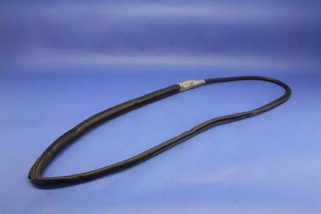 Door Glass Weatherstrip, Right - Mopar (4763878AE)