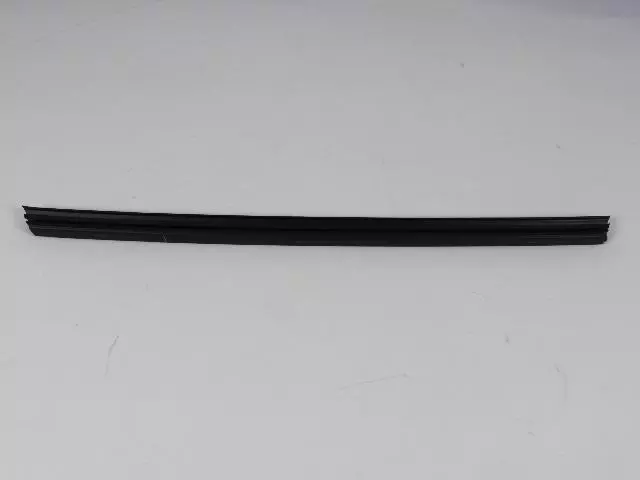 Front Door Belt Inner Weatherstrip, Left - Mopar (5076875AC)
